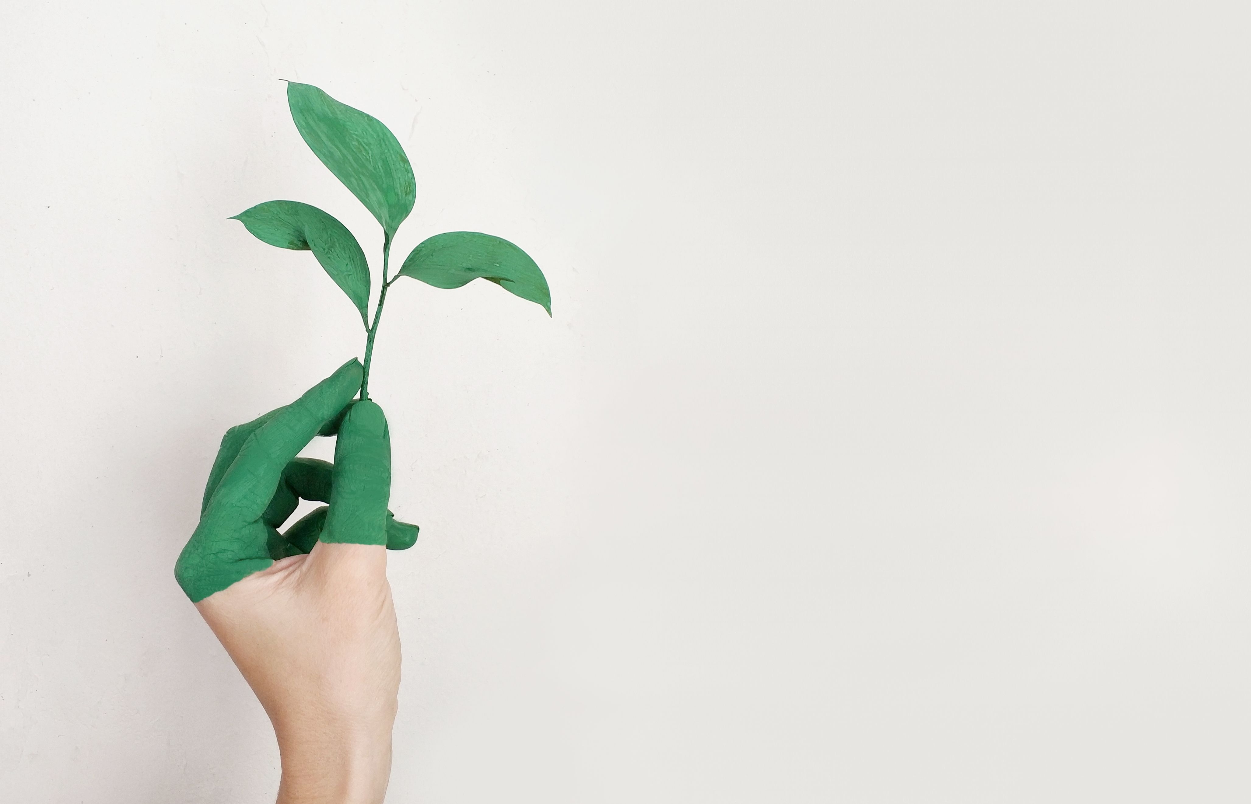 How to Practice Sustainable Living: A Guide for Eco-Friendly Lifestyles