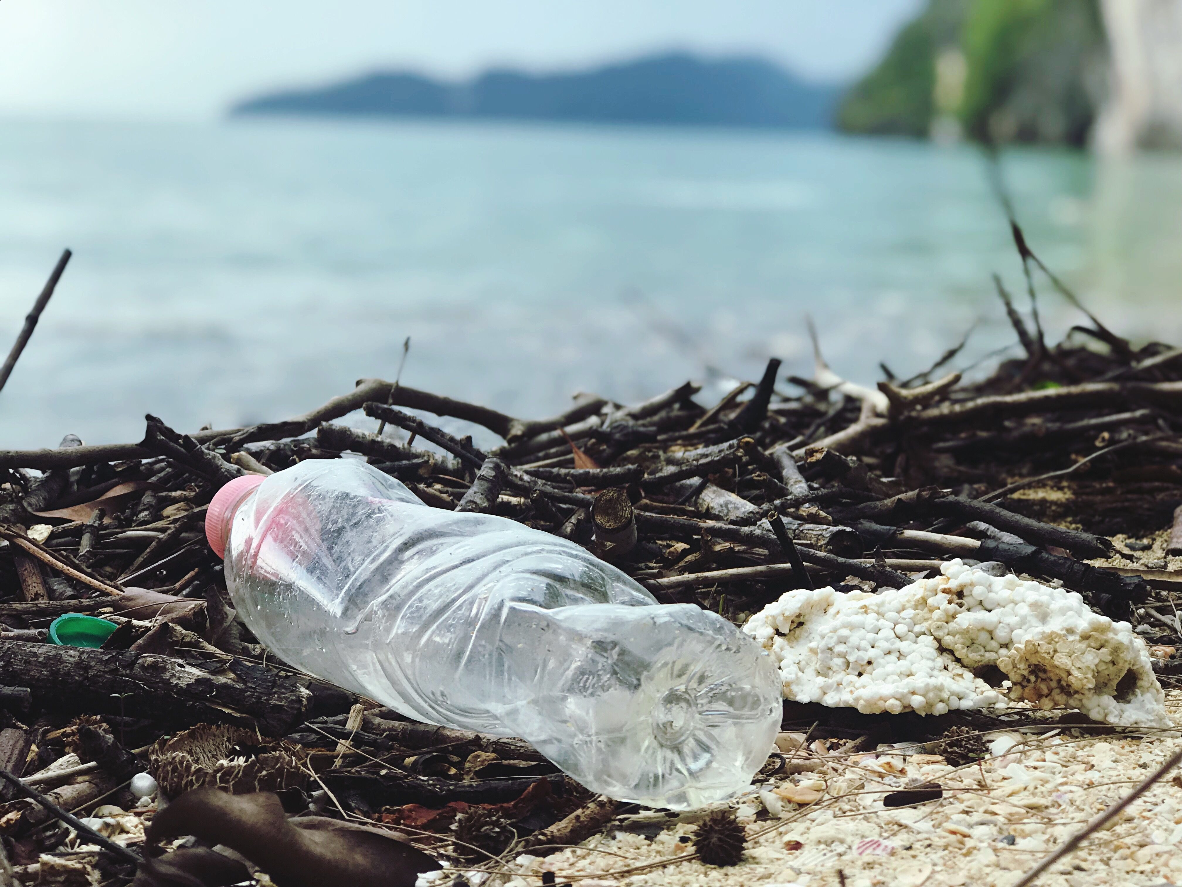 The Impact of Plastic Pollution and How to Combat It