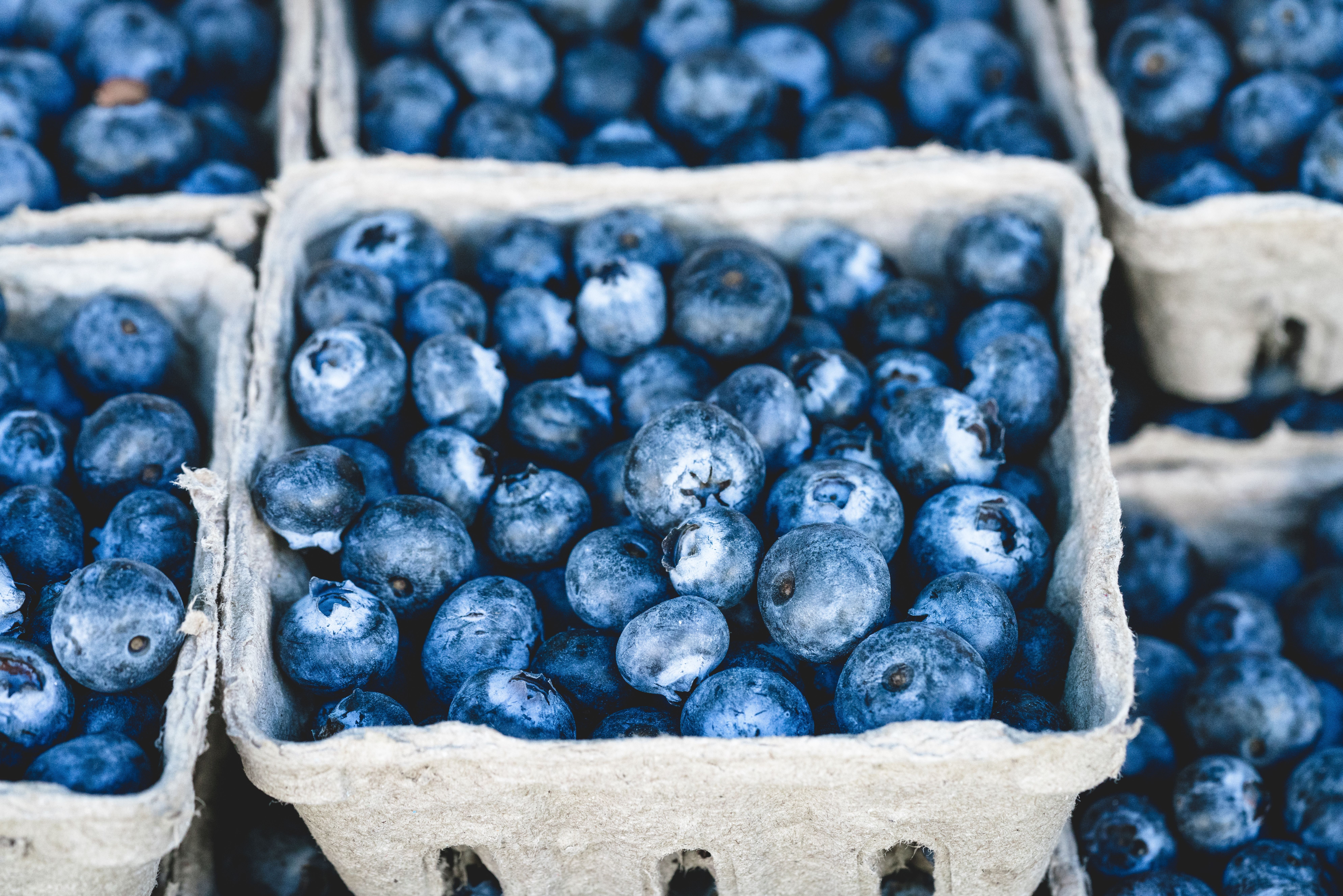 10 Superfoods You Should Include in Your Diet for Better Health