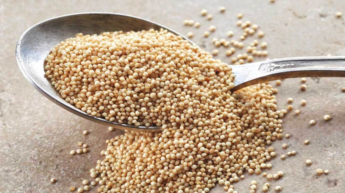Amaranth: The Gluten-Free Grain with Protein and Fiber Benefits
