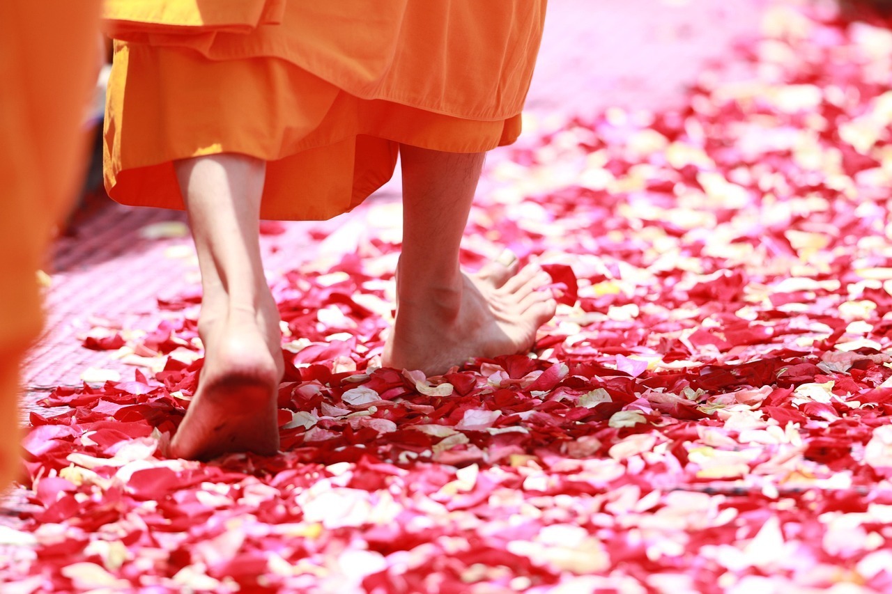 How to Navigate the Teachings of the Dhammapada