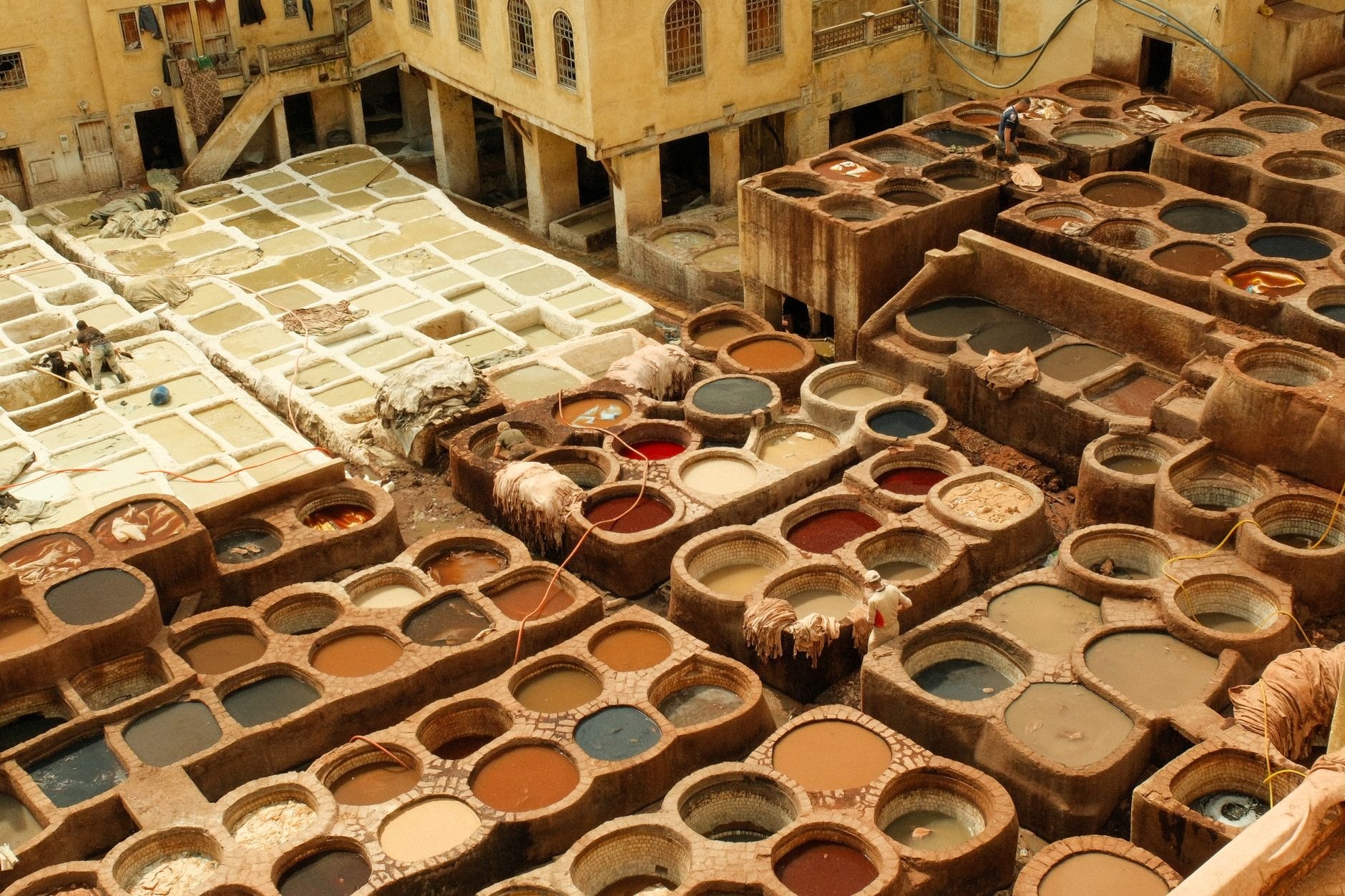 Vat Savitri Katha: A Tale of Devotion and Tradition