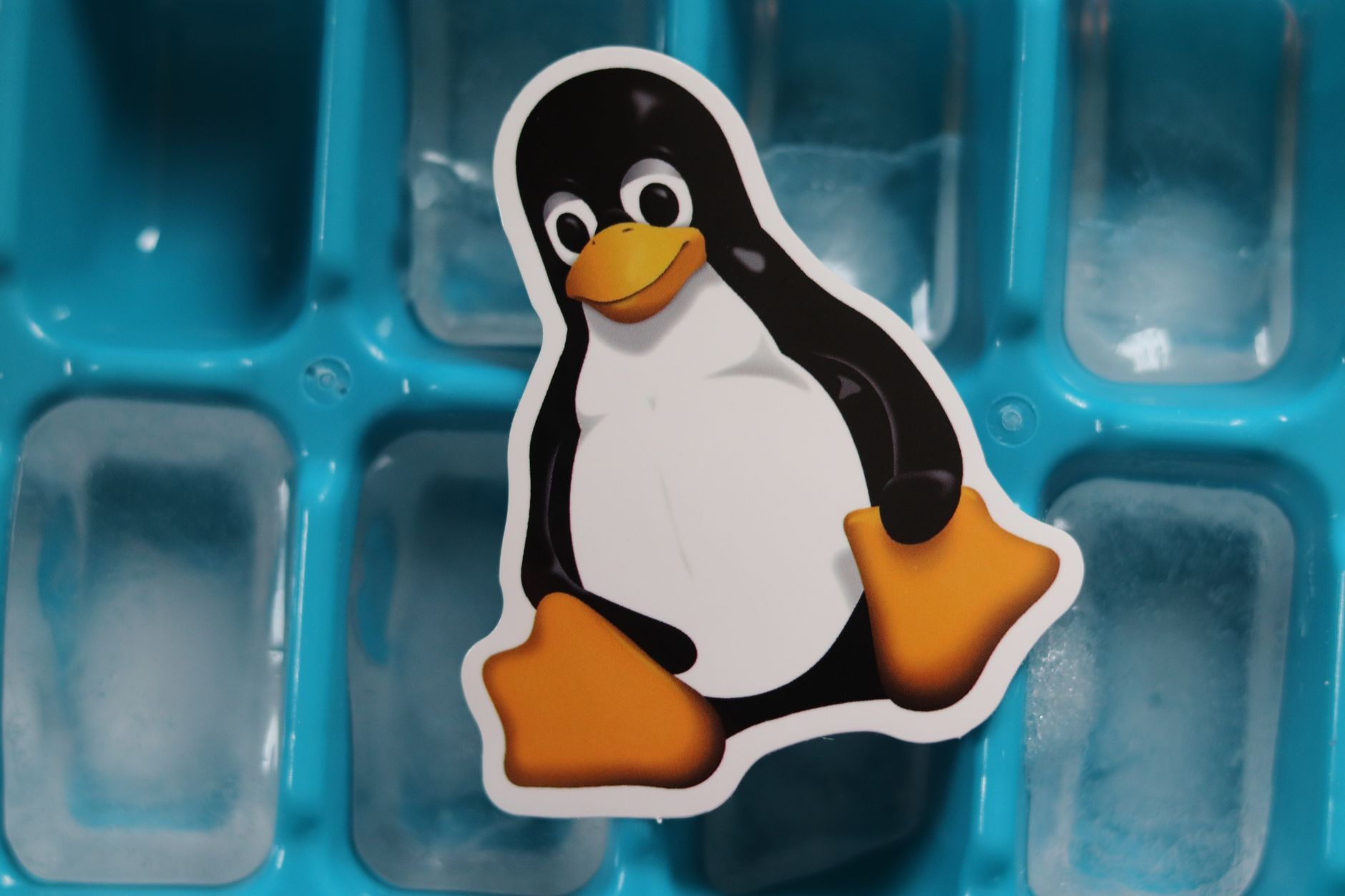 How to Update and Upgrade Your Ubuntu System