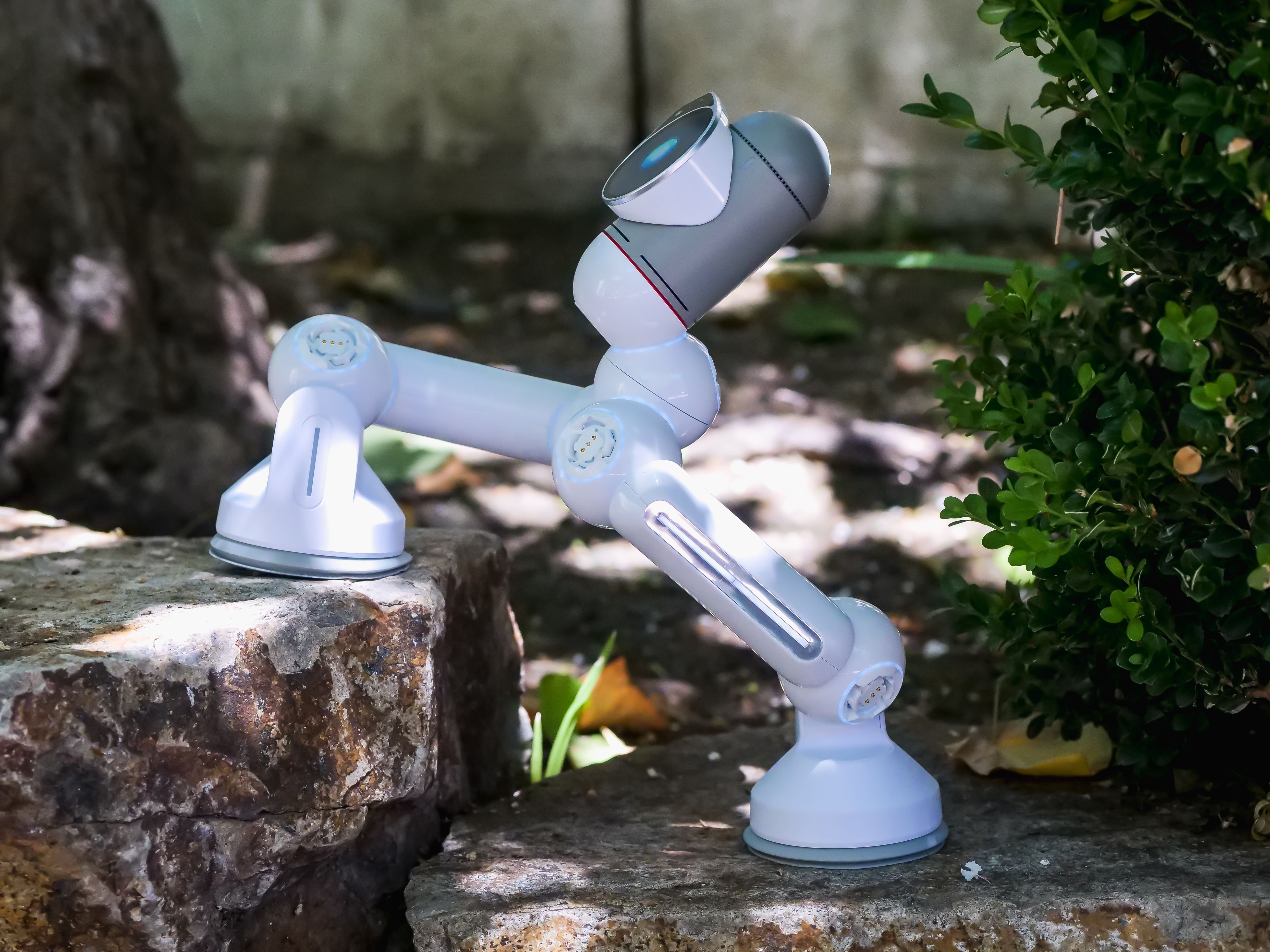 The Role of AI in Climate Change: Innovations for a Sustainable Future