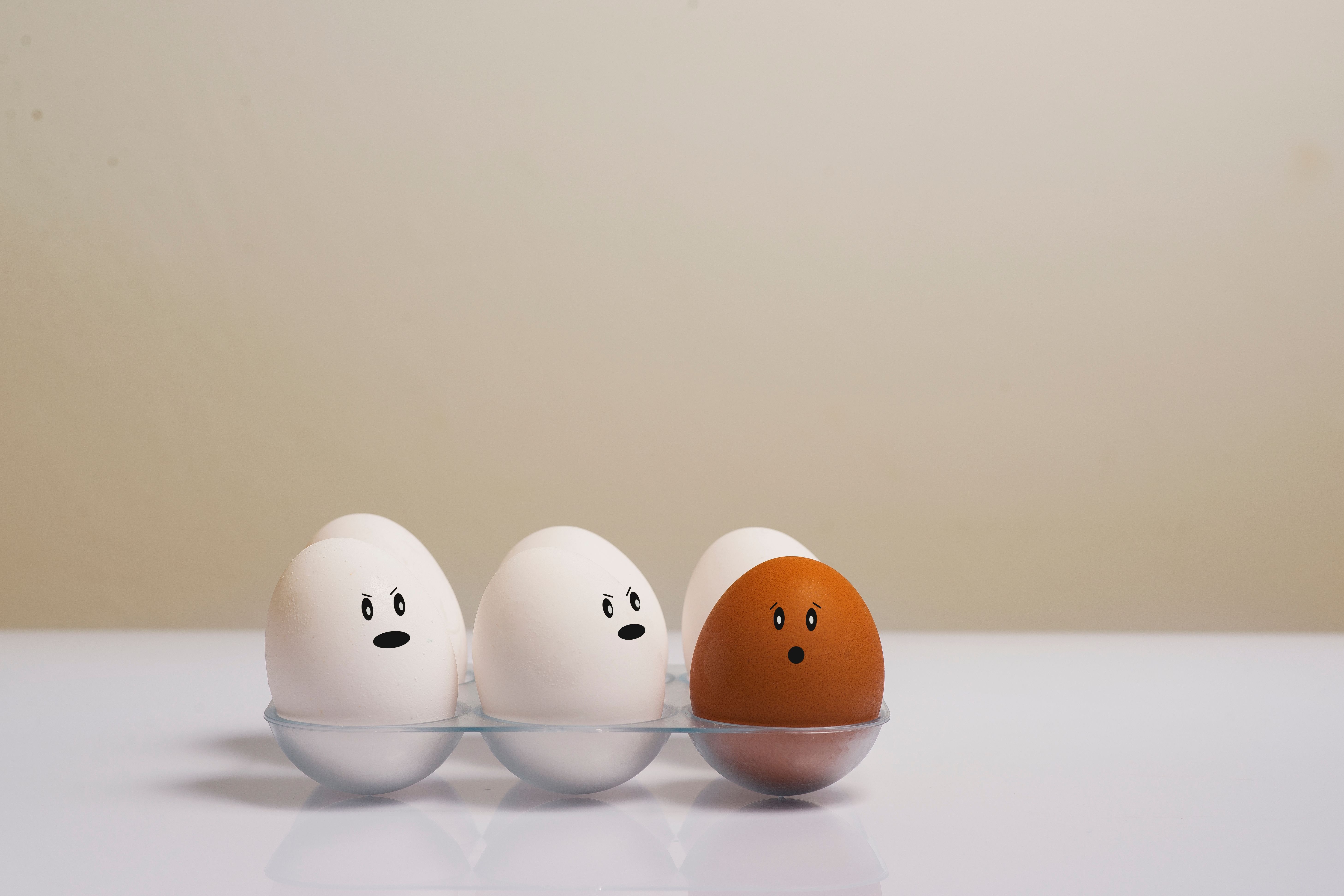 White Eggs vs. Brown Eggs: Debunking the Shell Color Mystery