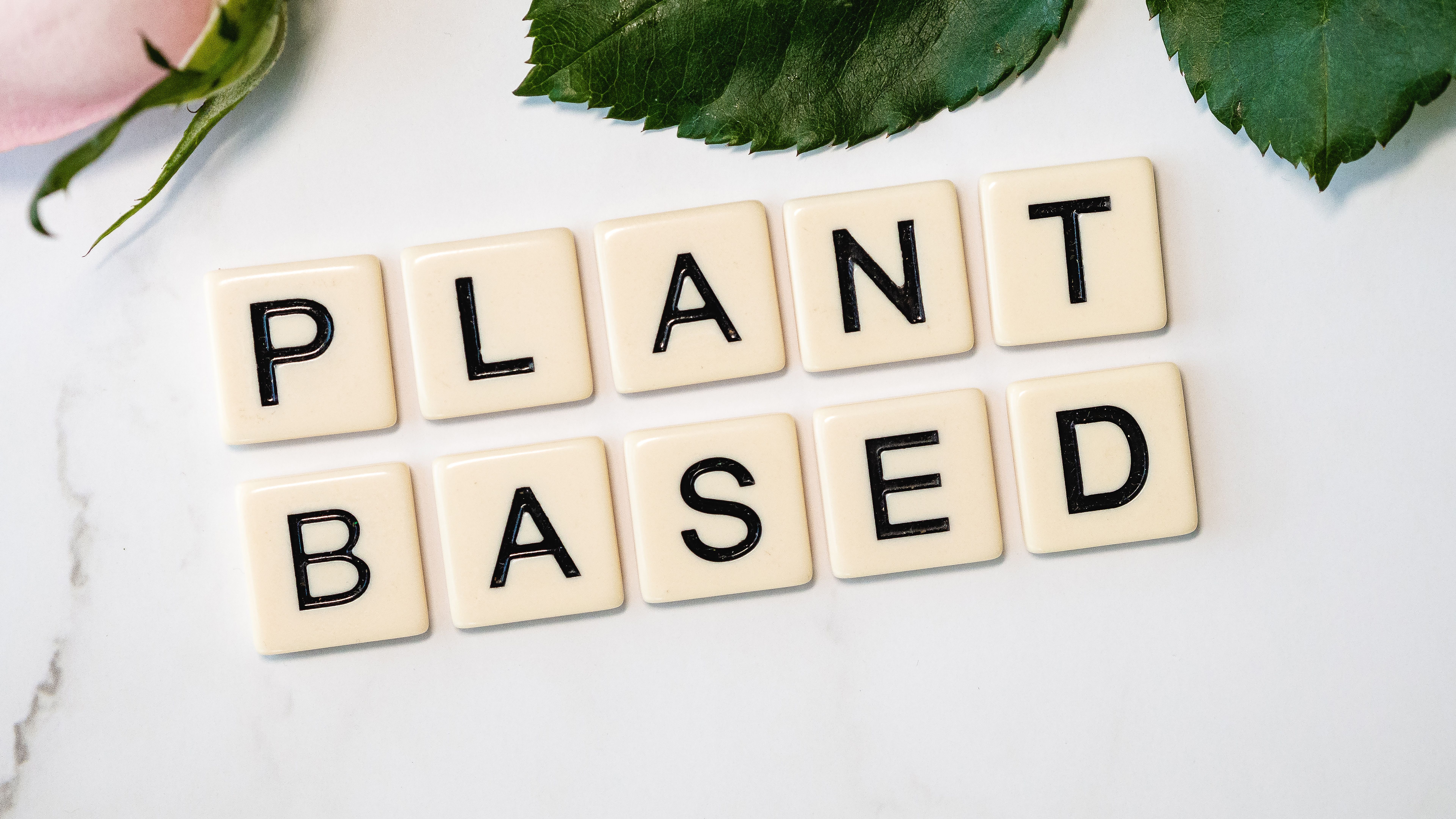 The Benefits of a Plant-Based Diet: How Eating Plants Can Transform Your Health