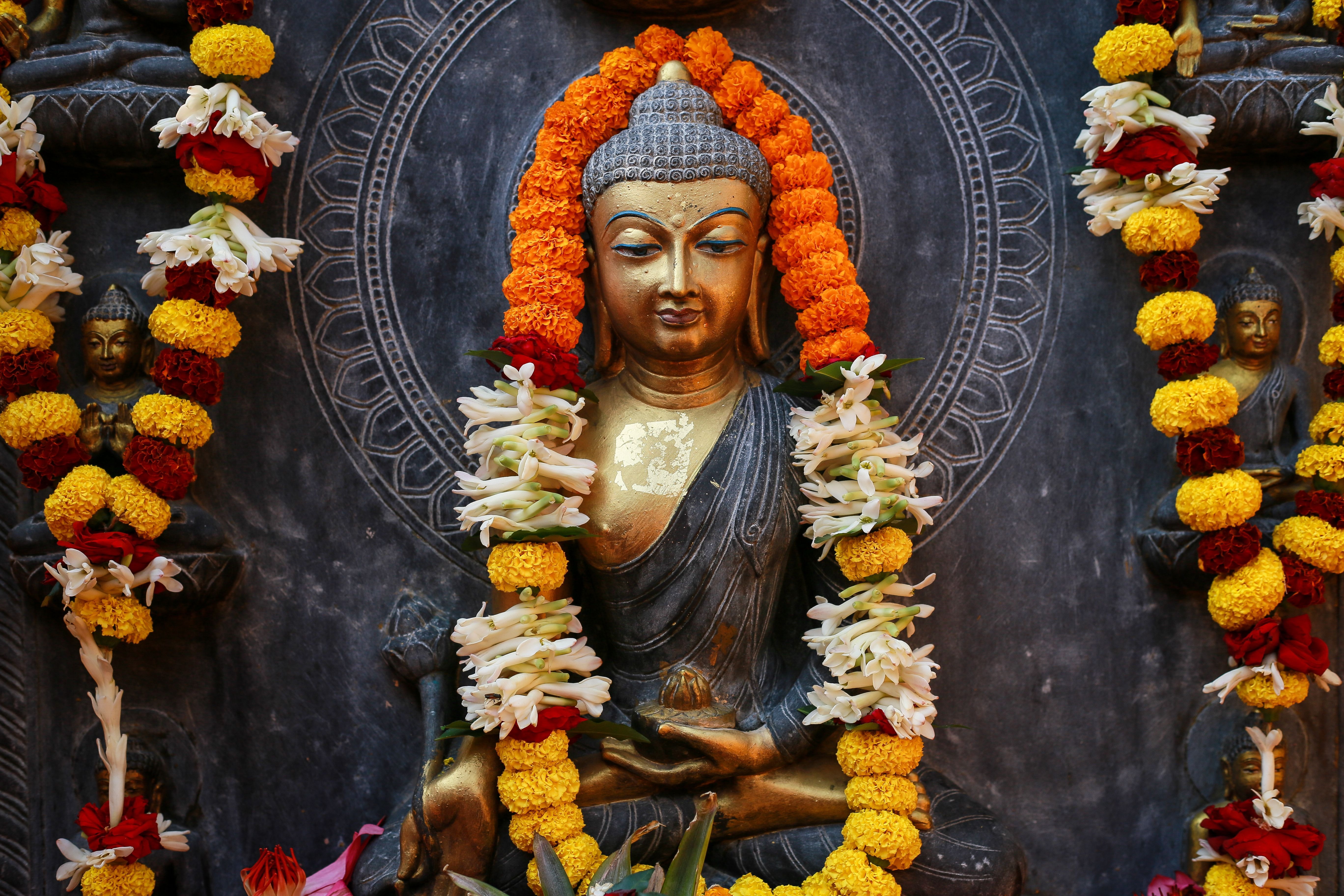 The Enlightening Journey: A Glimpse into the Life of Buddha