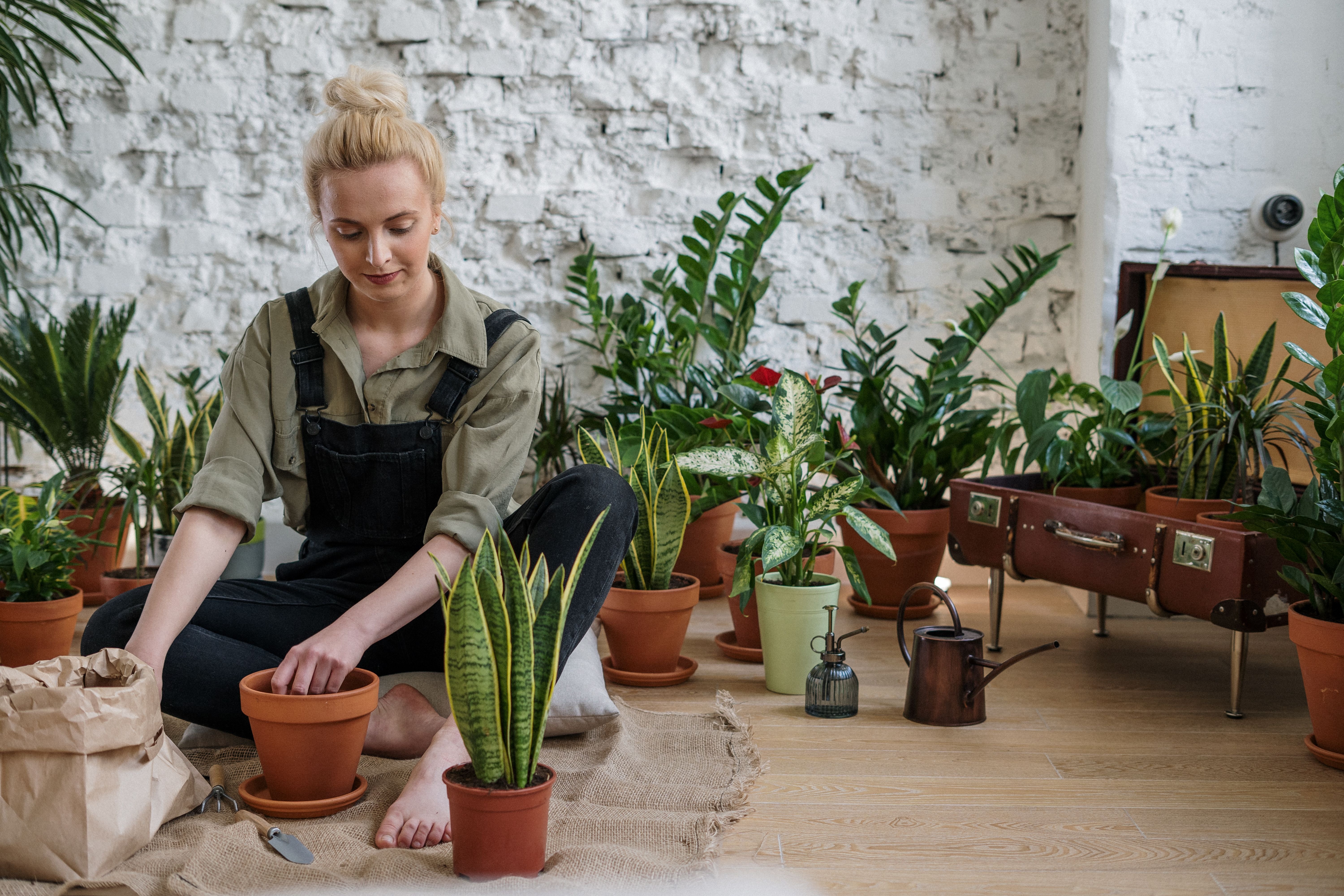 The Benefits of Gardening for Mental Health and Well-Being
