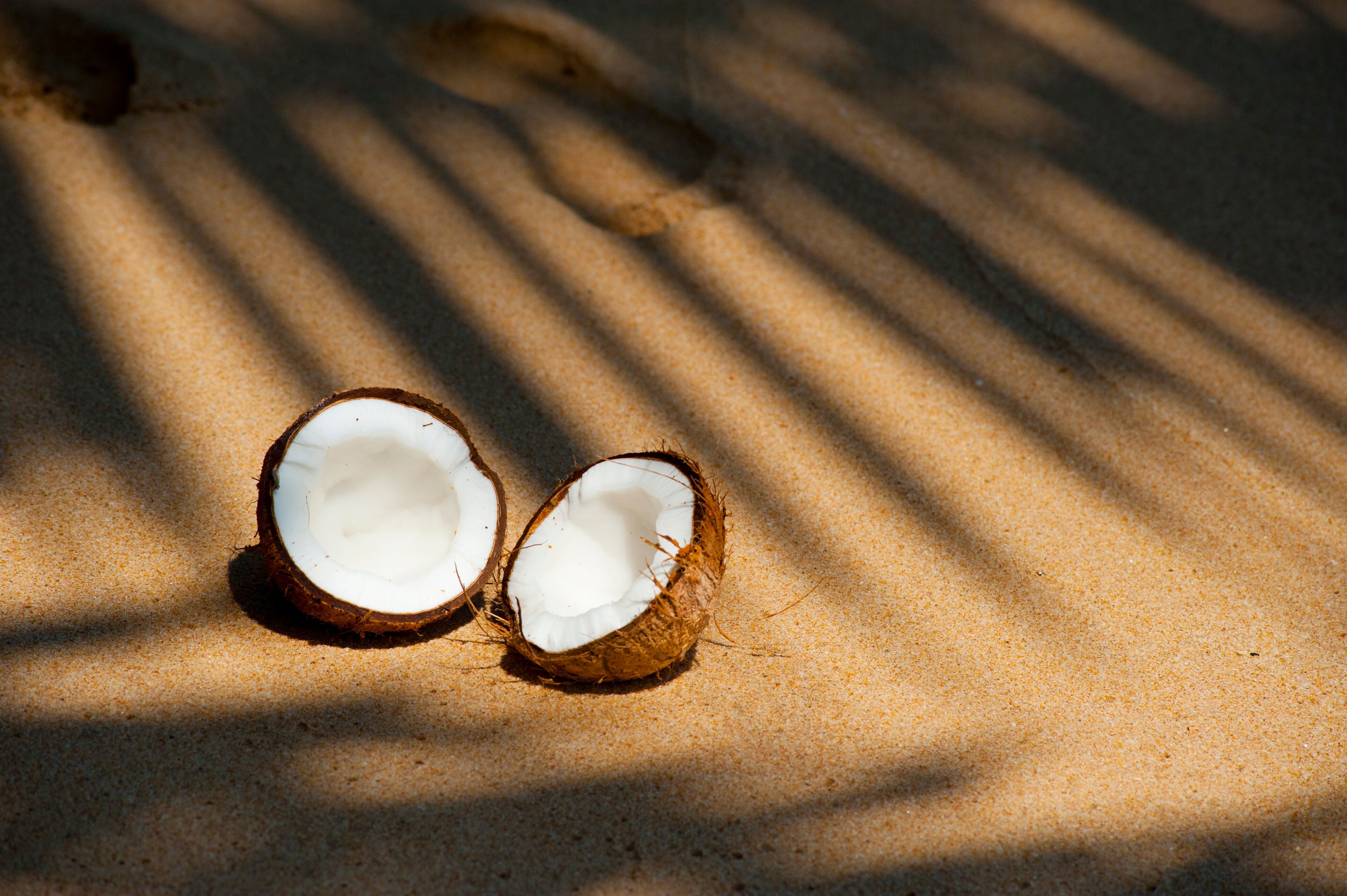The Many Wonders of Coconut: Health Benefits and Uses Beyond the Kitchen