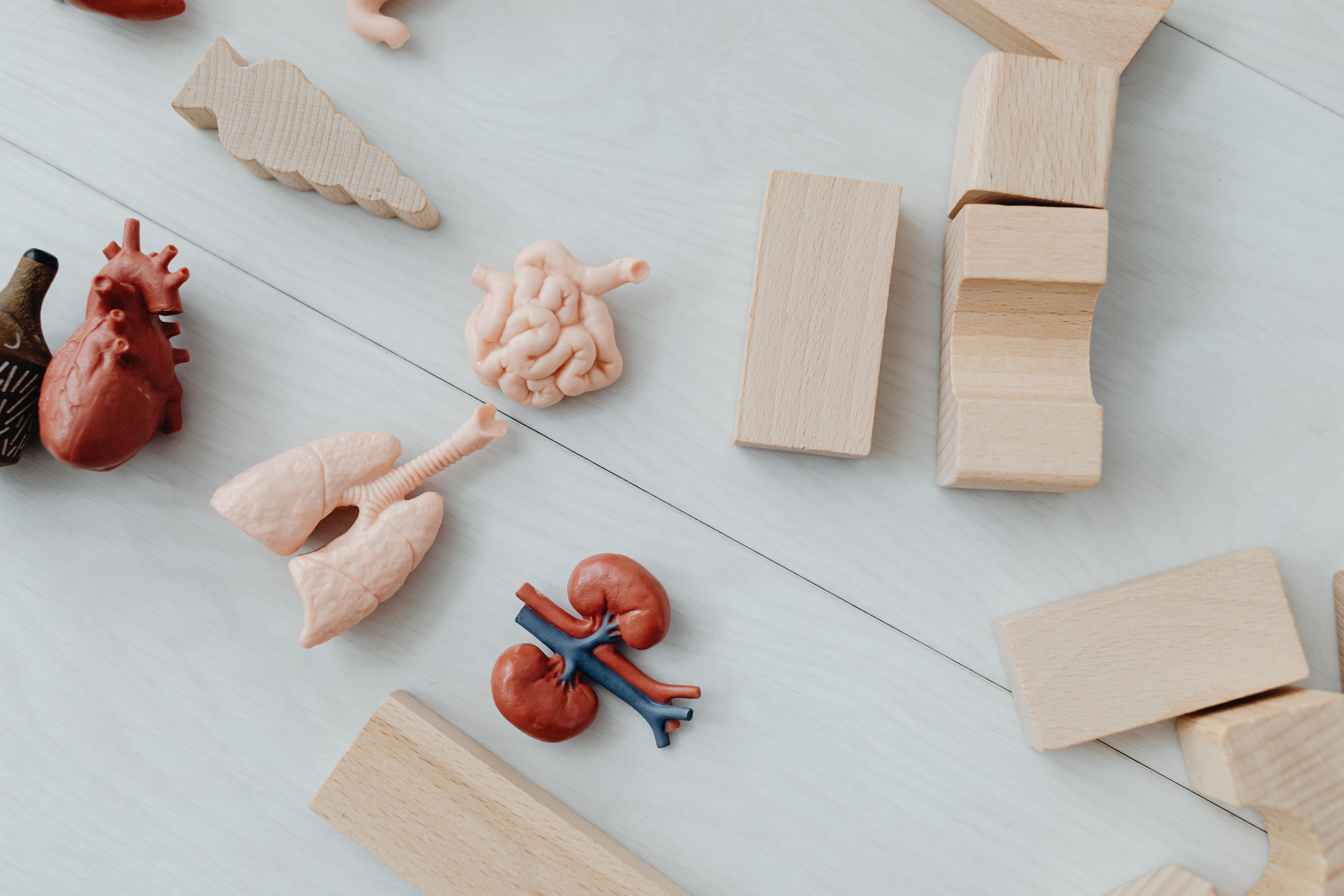 Managing Asthma Naturally: Proven Strategies for Easier Breathing