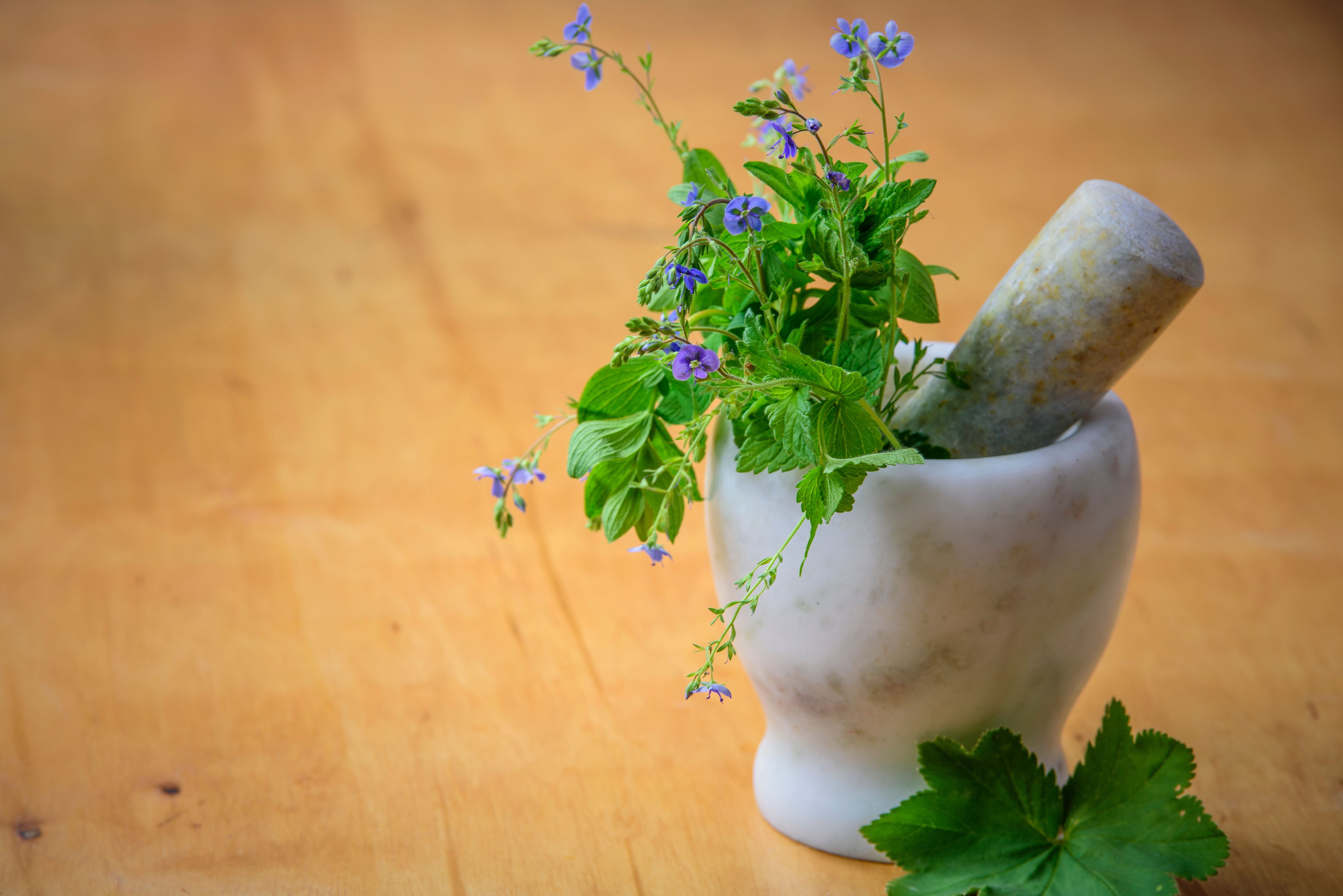 Herbal Remedies: Ancient Wisdom for Modern Ailments