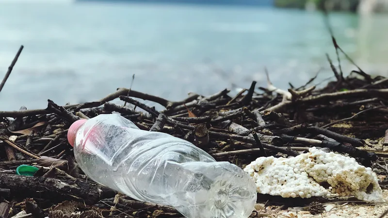 The Impact of Plastic Pollution and How to Combat It