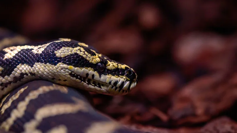 Mastering Python Comments: A Comprehensive Guide for Single and Multiline Comments in Python