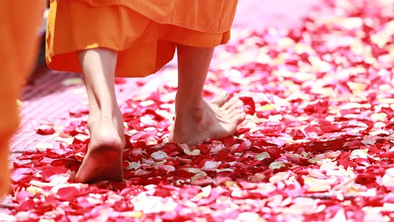 How to Navigate the Teachings of the Dhammapada