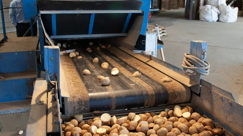 Revolutionizing the Food Industry: The Role of Technology in Transforming How We Eat