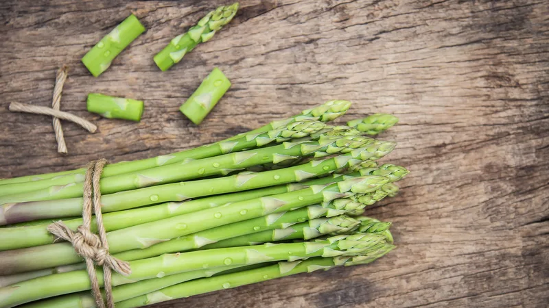 Why Fiber Matters: Essential Nutritional Insights for a Healthy Digestive System