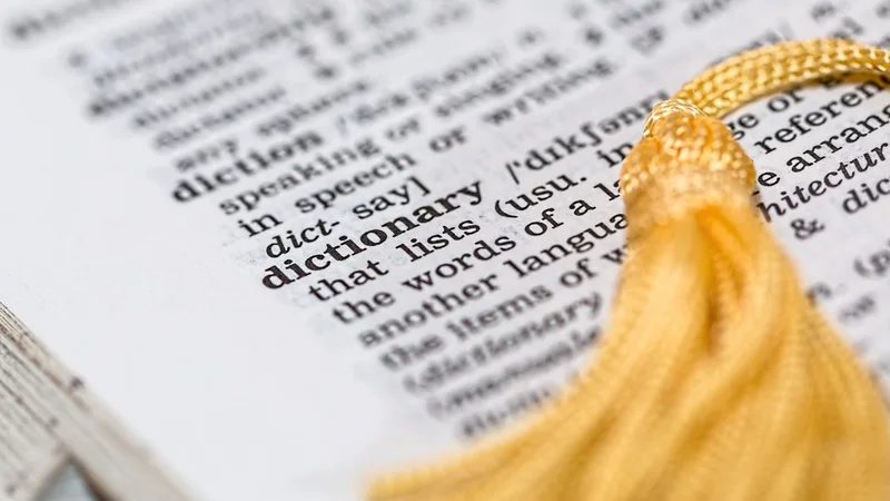"Meticulous" - word of the day