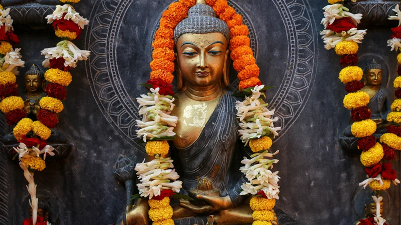 The Enlightening Journey: A Glimpse into the Life of Buddha