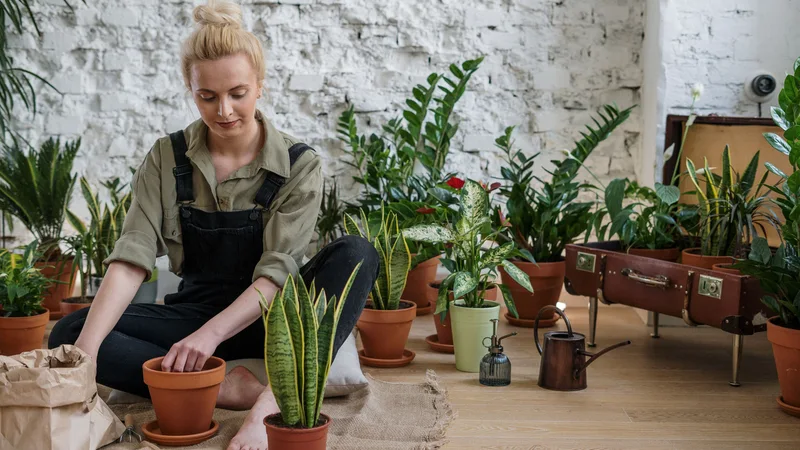 The Benefits of Gardening for Mental Health and Well-Being