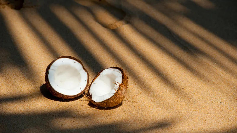 The Many Wonders of Coconut: Health Benefits and Uses Beyond the Kitchen